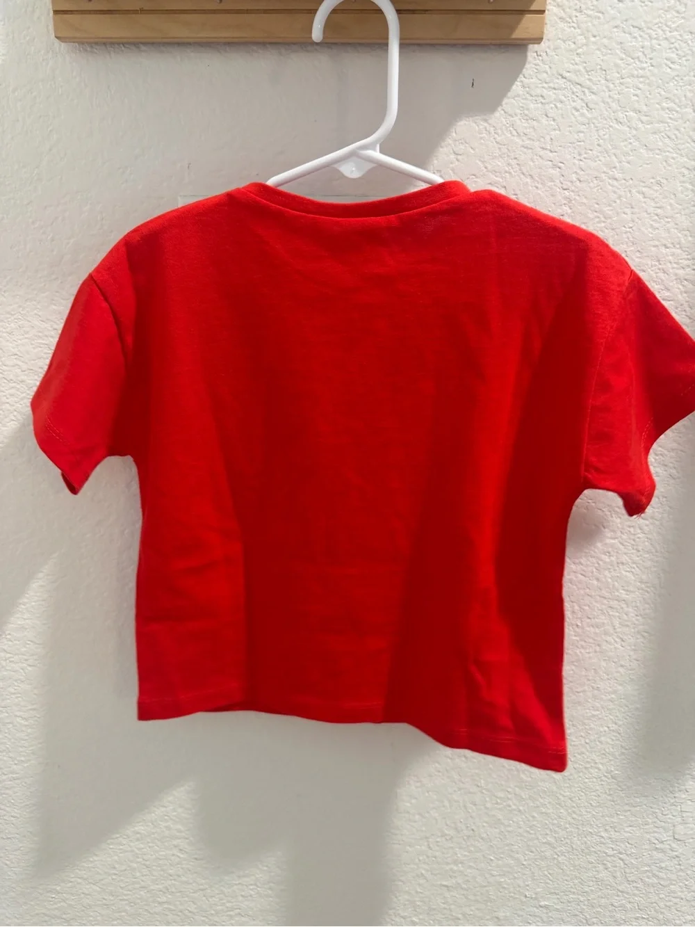 NWT Zara Strawberry Set